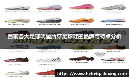 星空综合体育平台