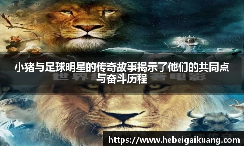 星空综合体育平台